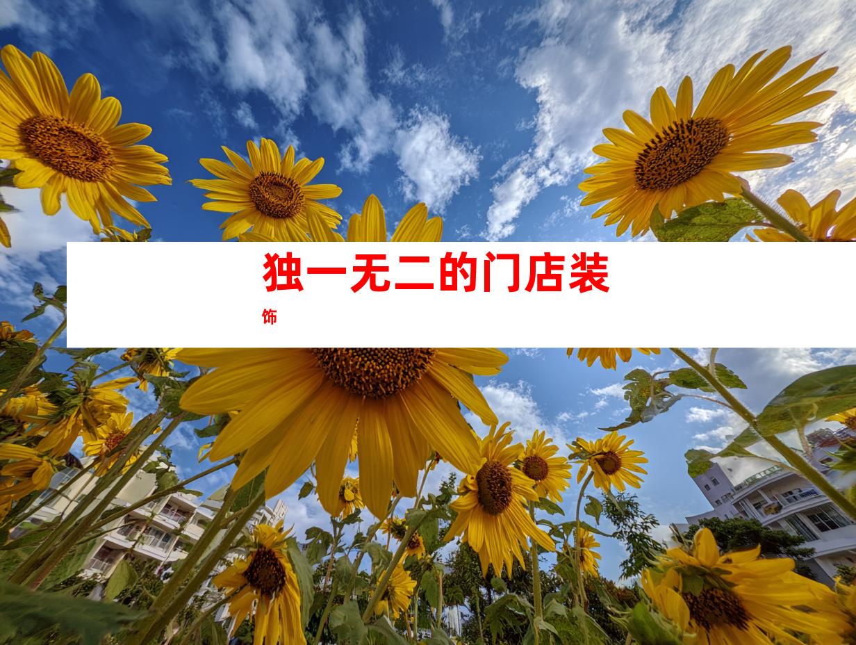 独一无二的门店装饰