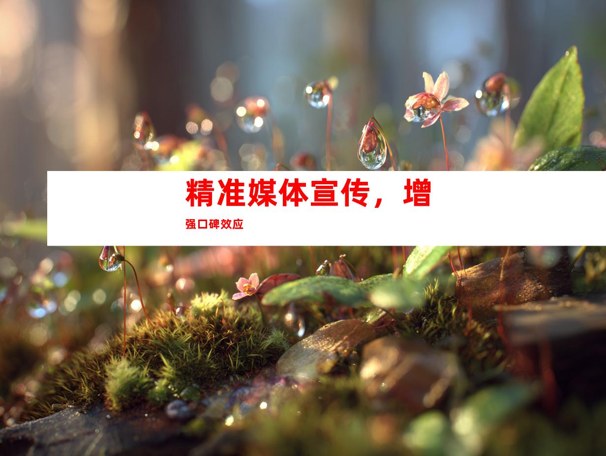 精准媒体宣传，增强口碑效应