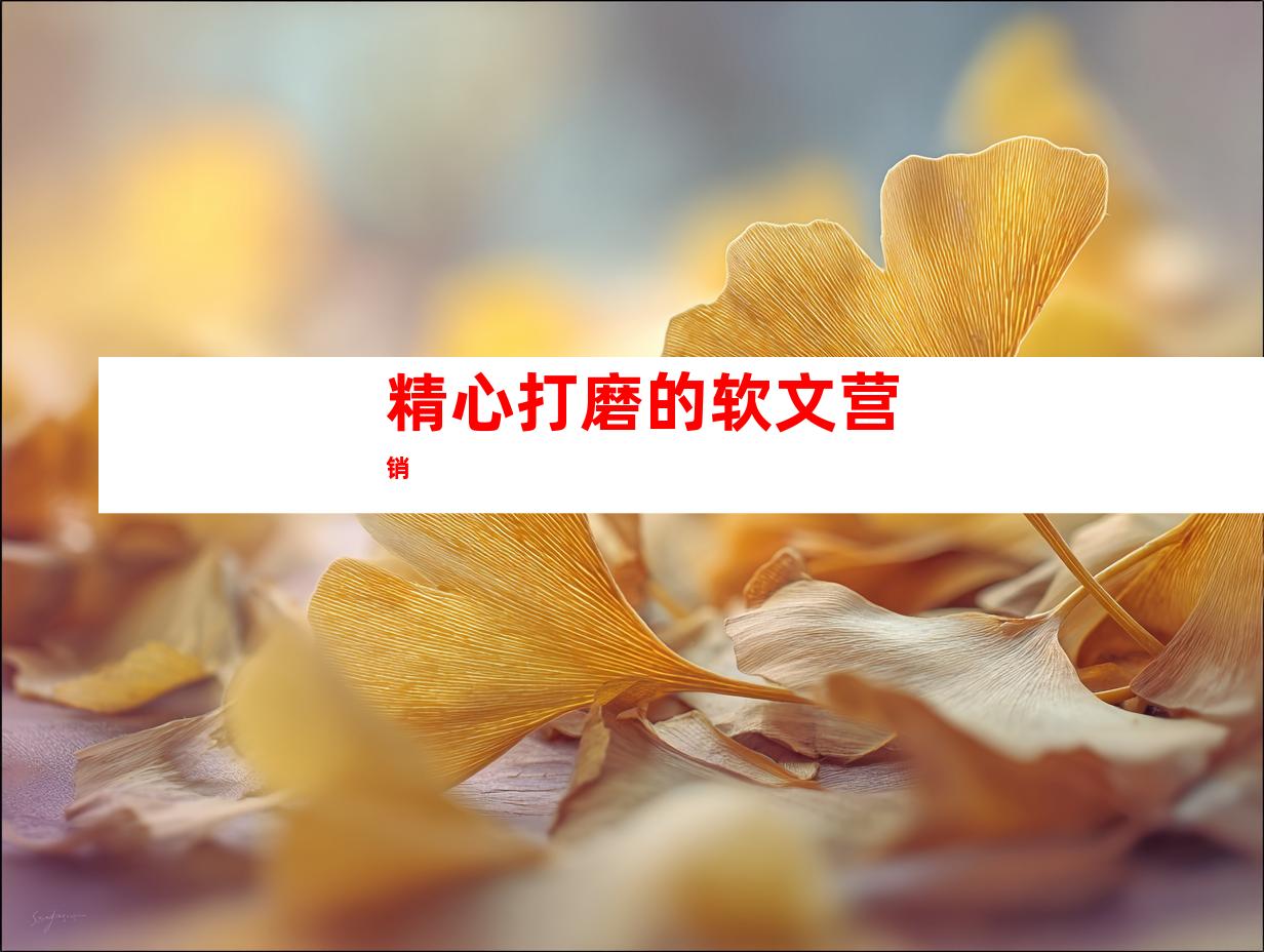 精心打磨的软文营销
