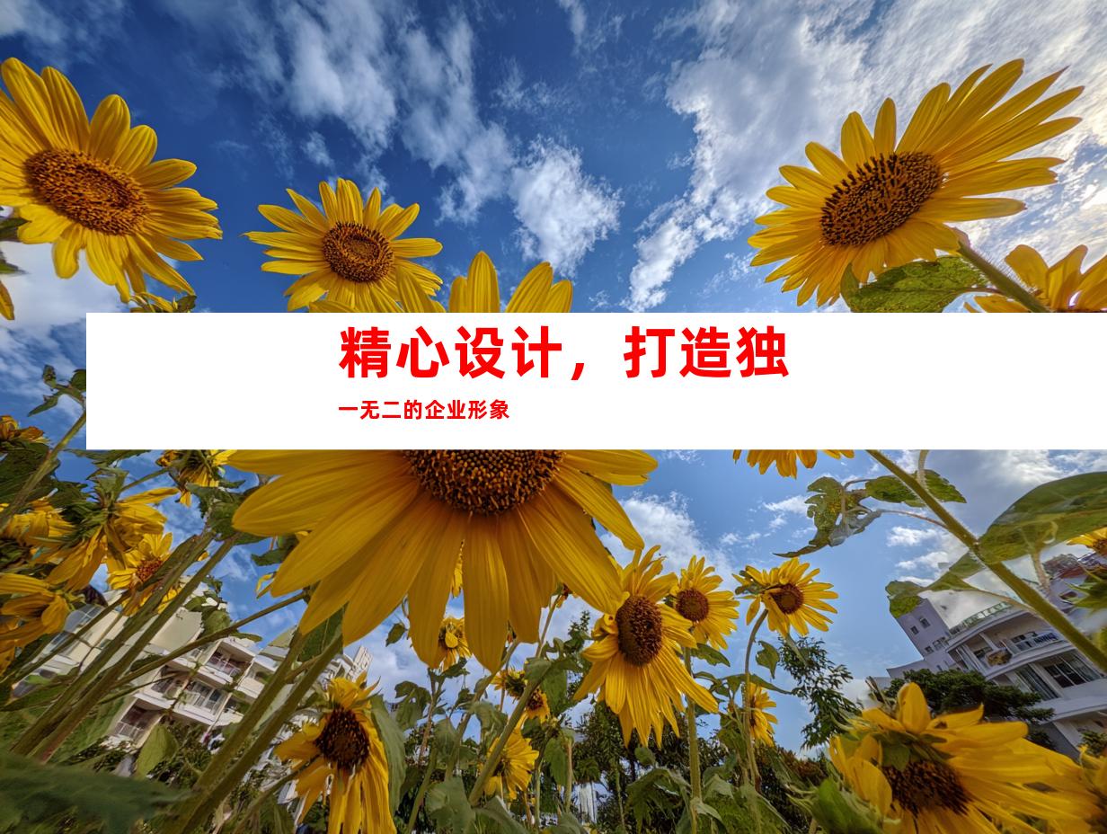 精心设计，打造独一无二的企业形象
