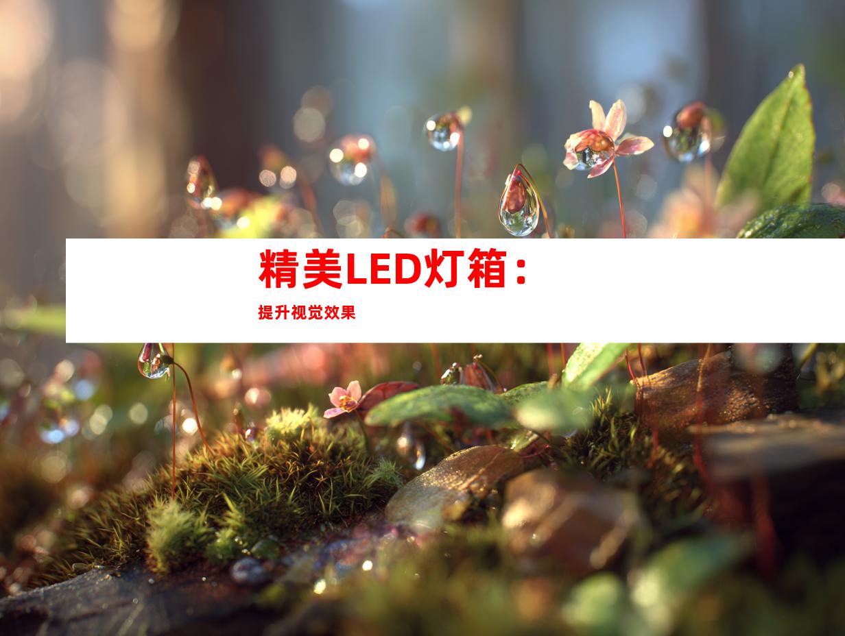 精美LED灯箱：提升视觉效果