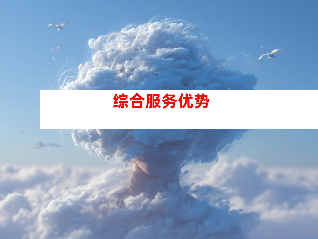 综合服务优势