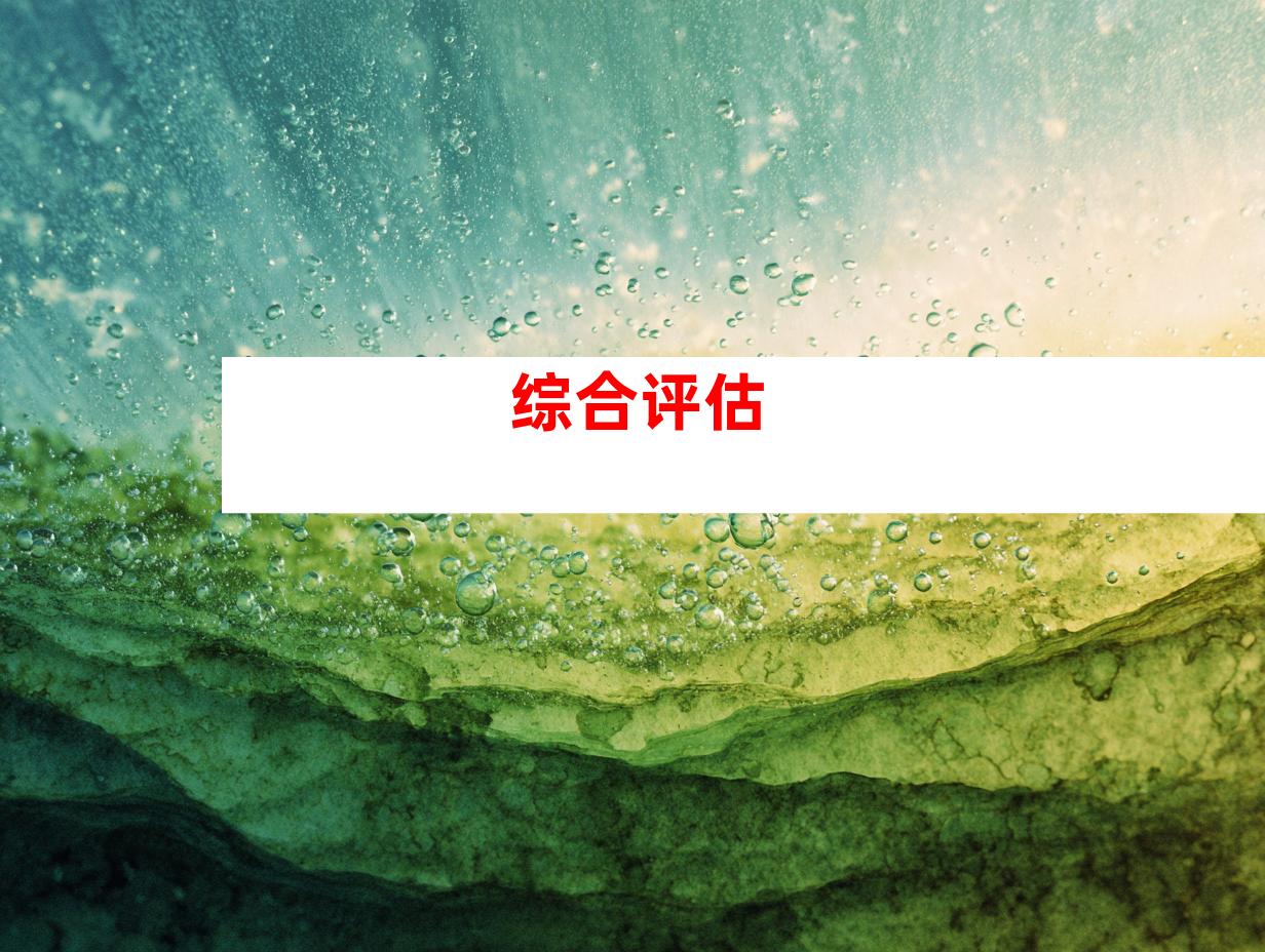 综合评估