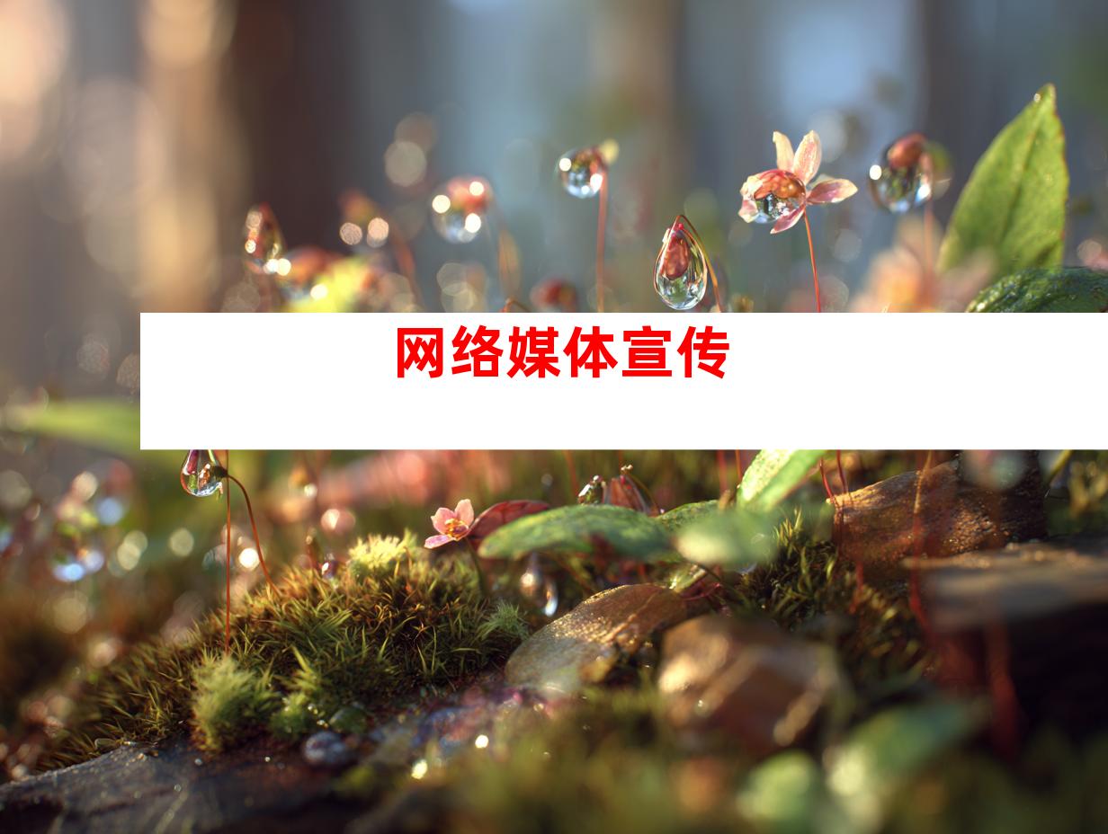 网络媒体宣传