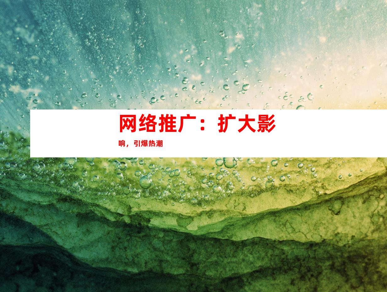 网络推广：扩大影响，引爆热潮