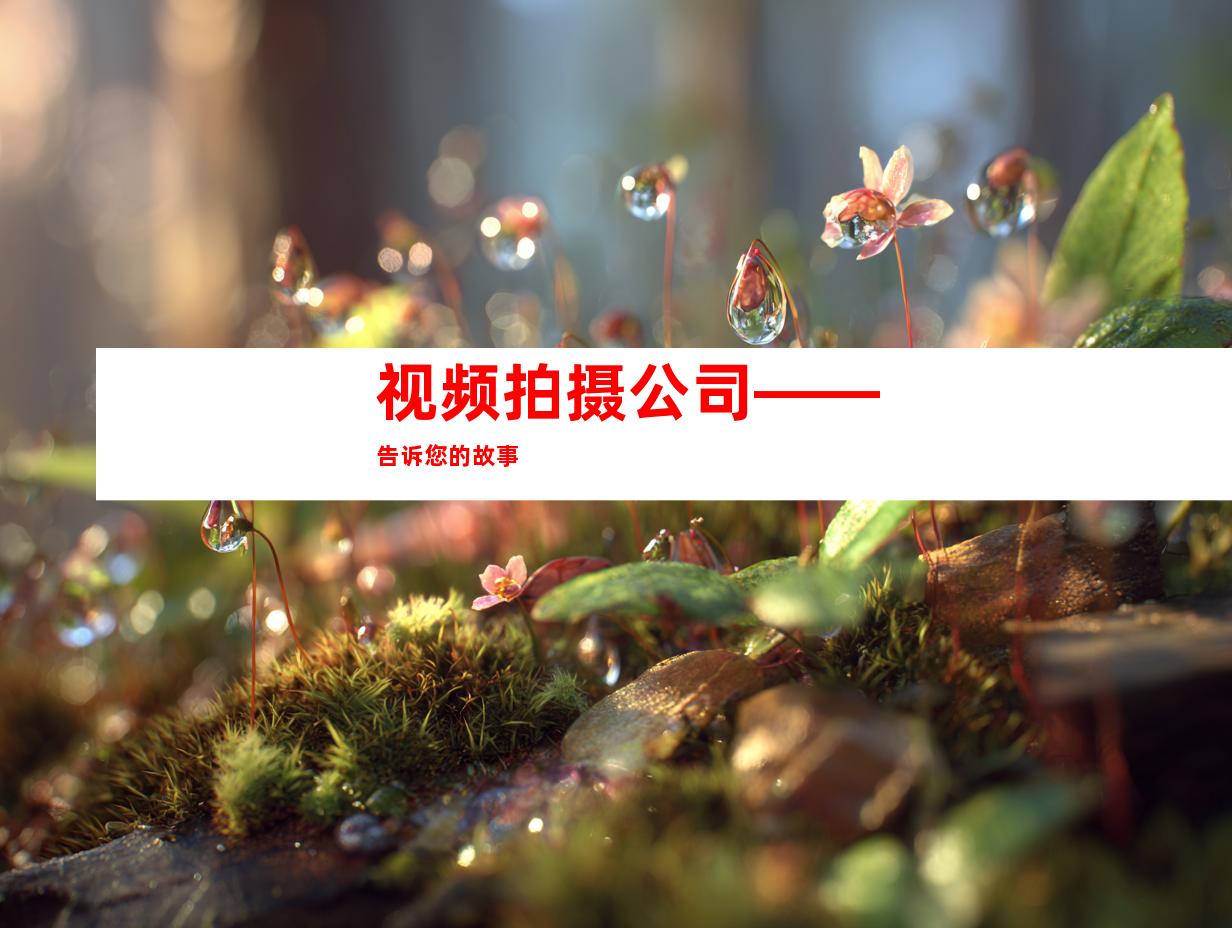 视频拍摄公司——告诉您的故事