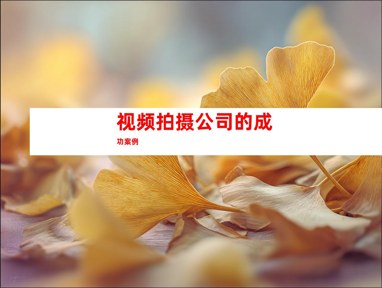 视频拍摄公司的成功案例