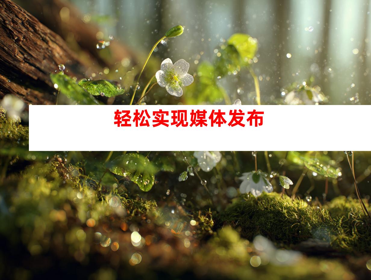 轻松实现媒体发布