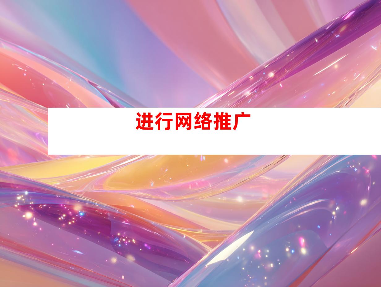 进行网络推广