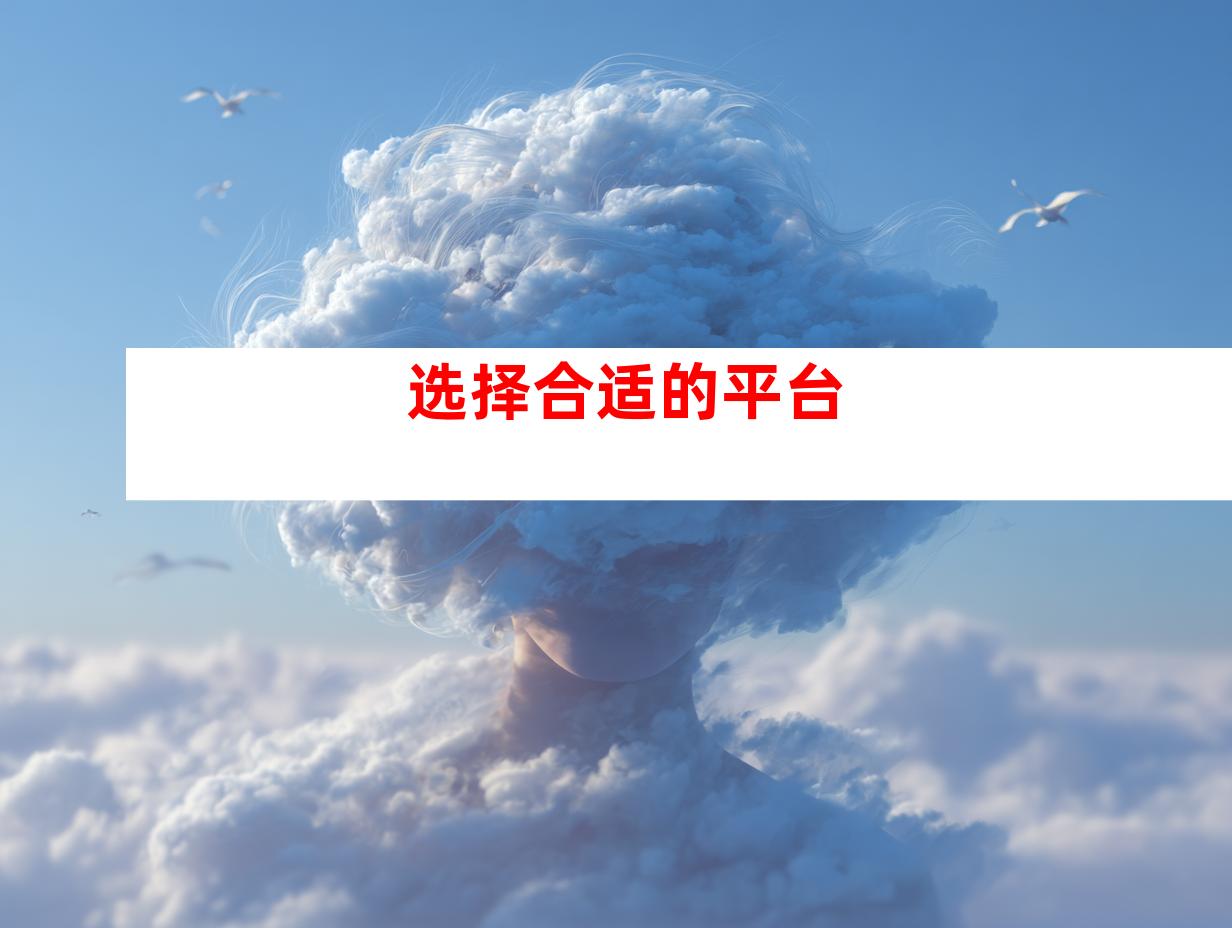 选择合适的平台