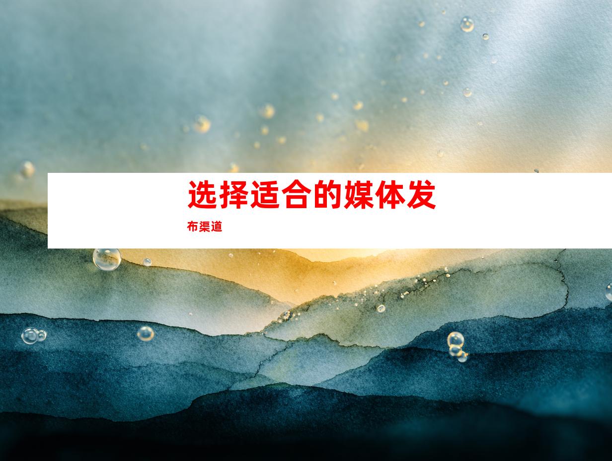 选择适合的媒体发布渠道