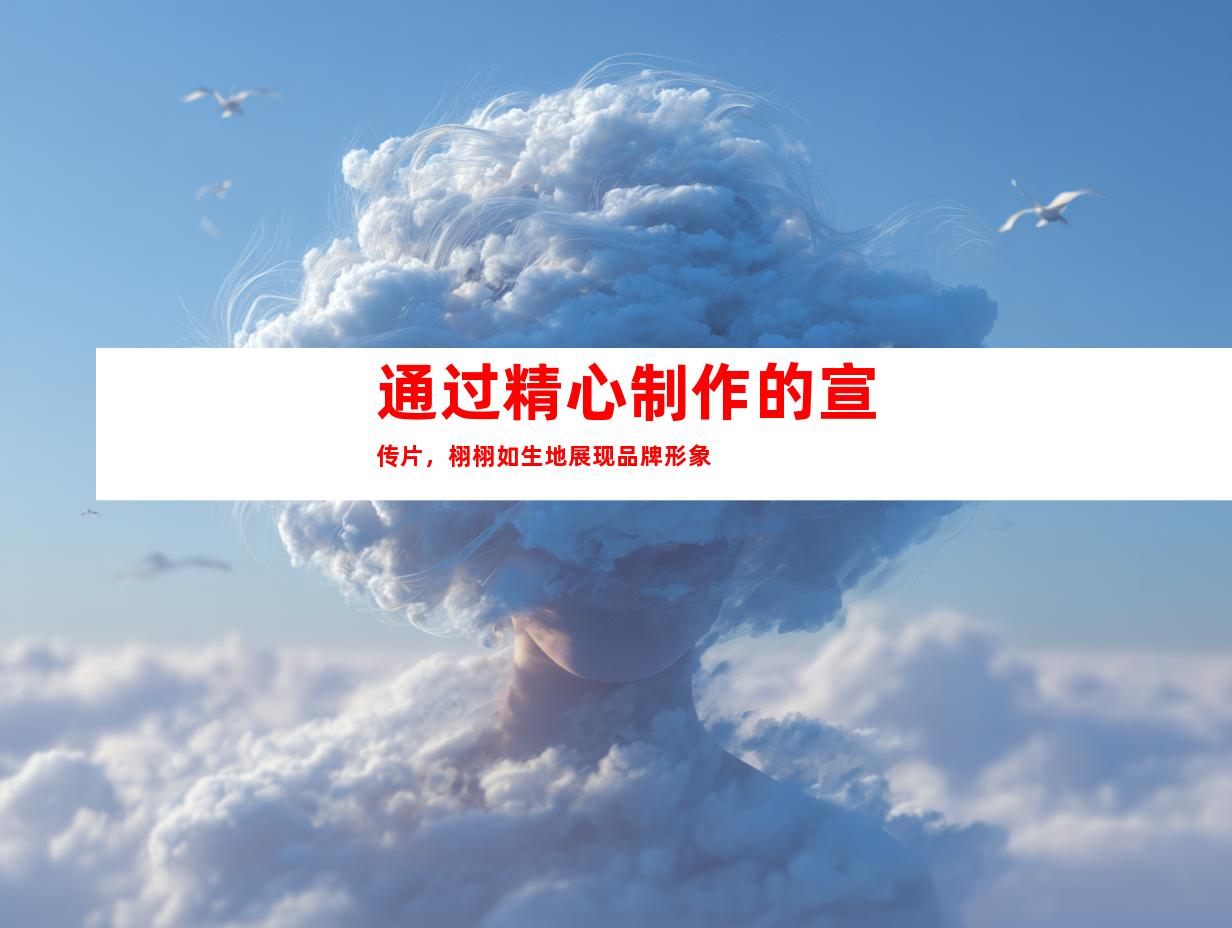 通过精心制作的宣传片，栩栩如生地展现品牌形象