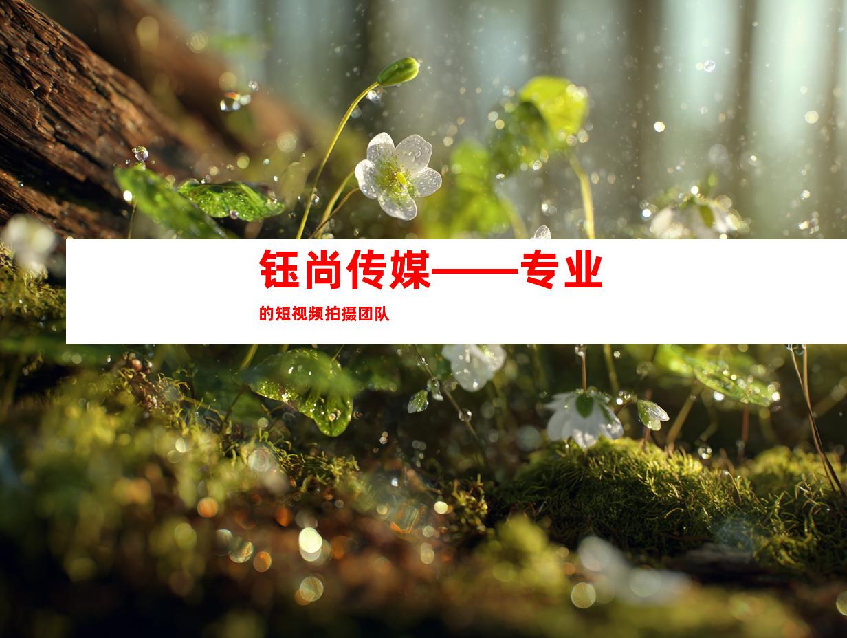 钰尚传媒——专业的短视频拍摄团队