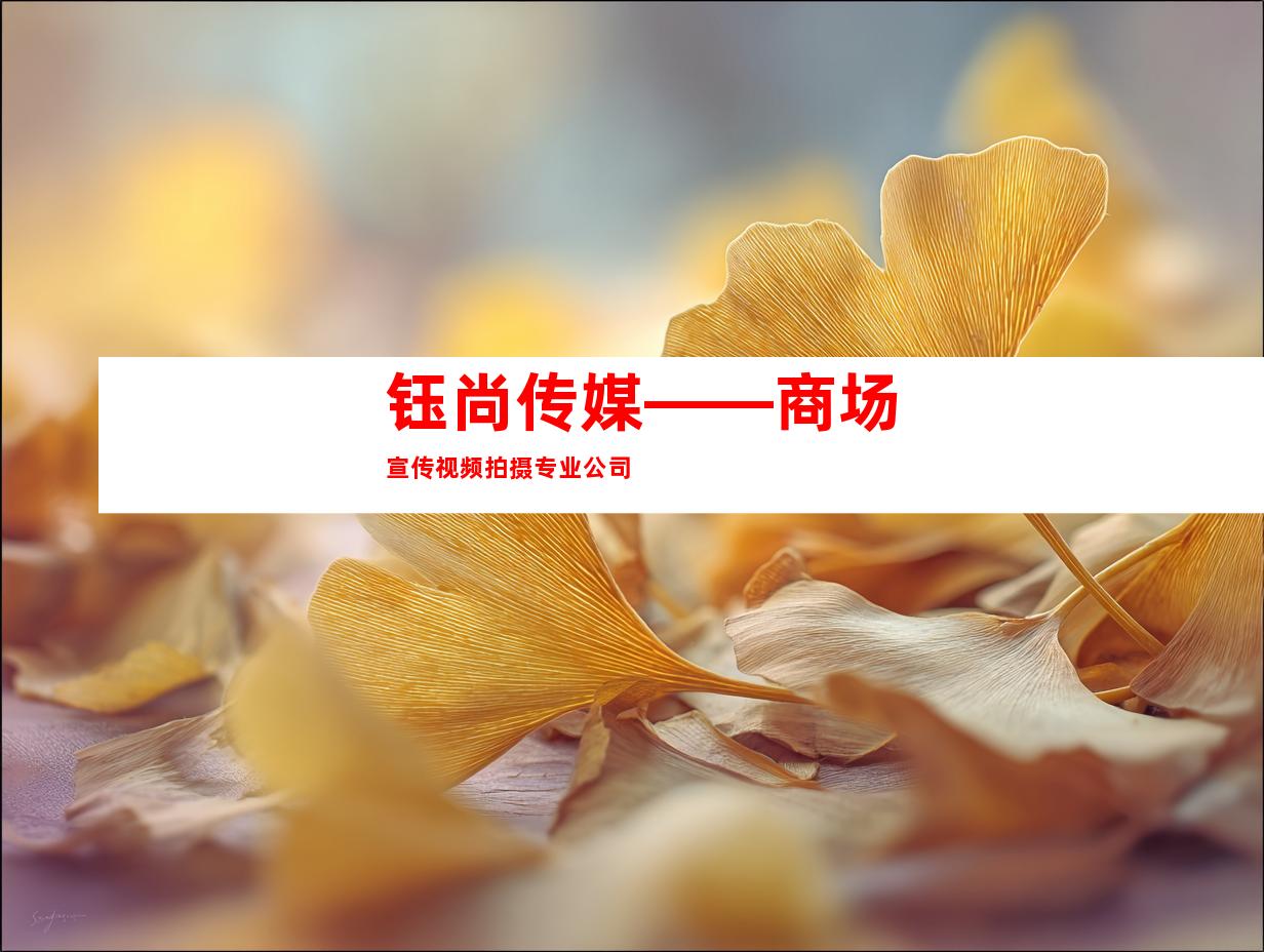 钰尚传媒——商场宣传视频拍摄专业公司