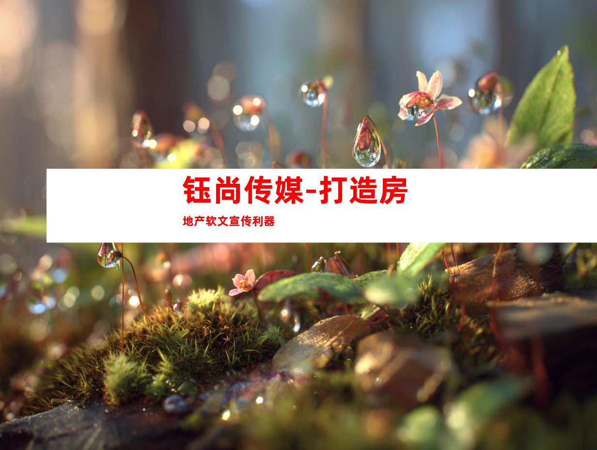 钰尚传媒-打造房地产软文宣传利器