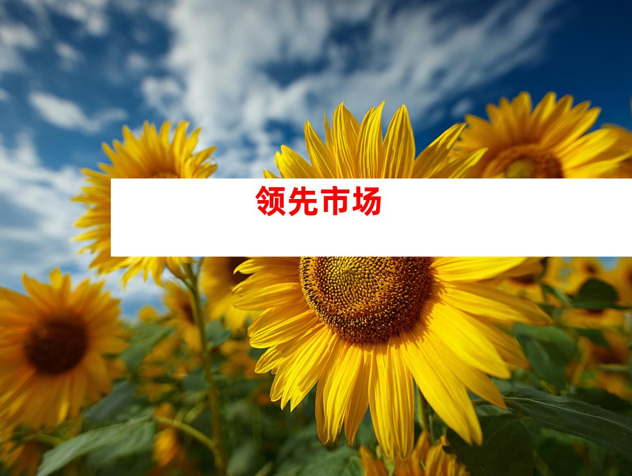 领先市场
