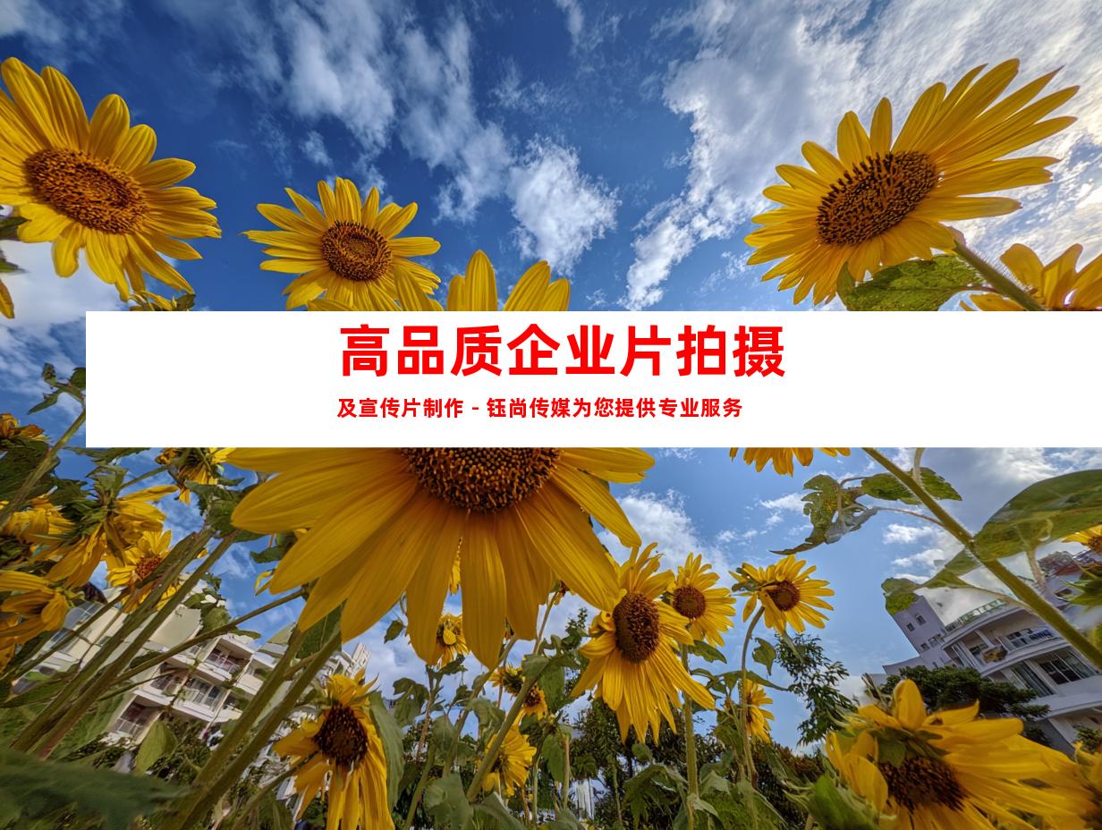 高品质企业片拍摄及宣传片制作 - 钰尚传媒为您提供专业服务