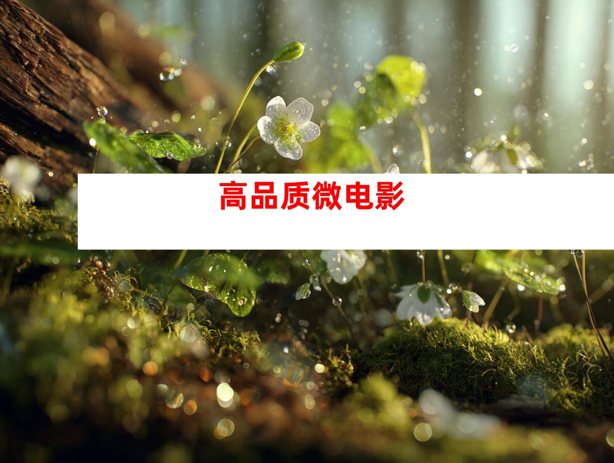 高品质微电影