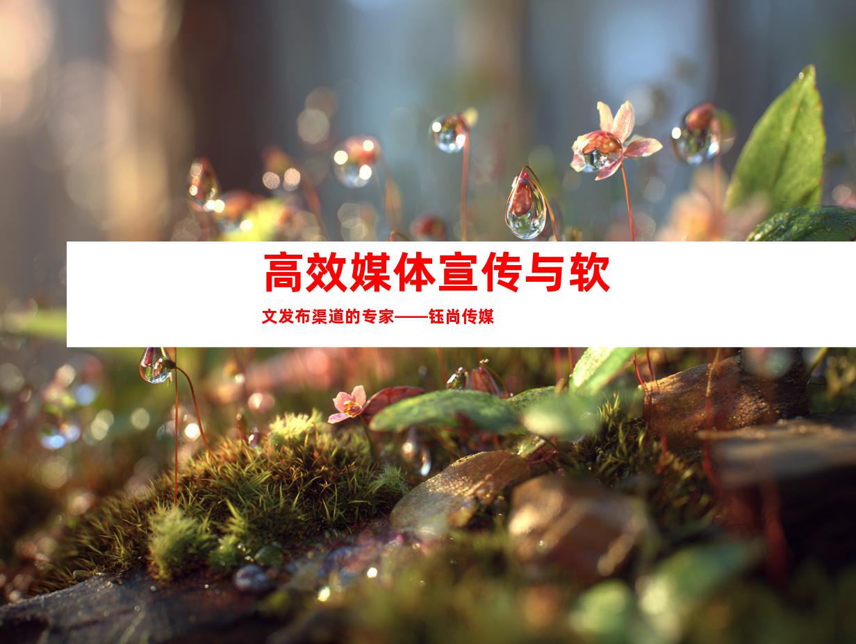 高效媒体宣传与软文发布渠道的专家——钰尚传媒