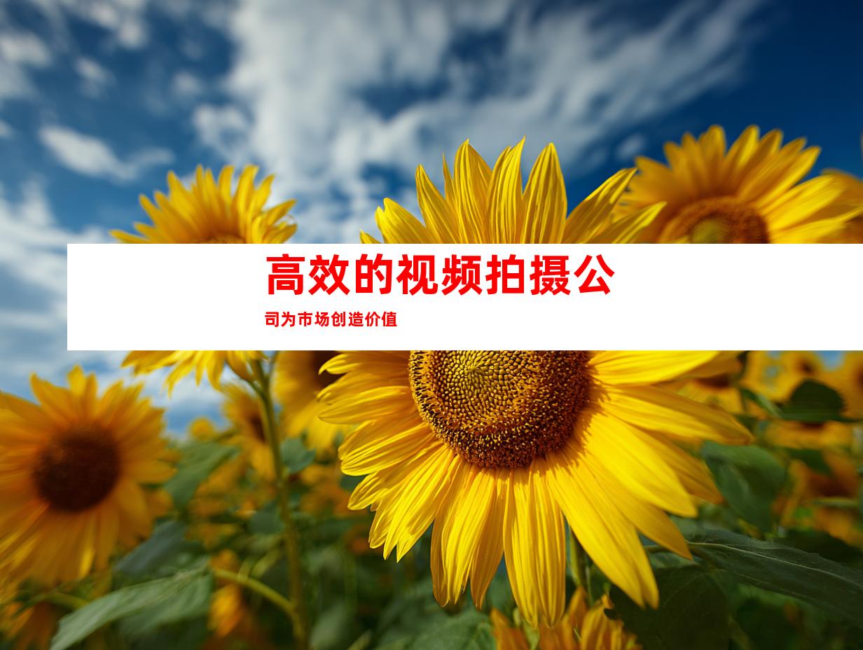 高效的视频拍摄公司为市场创造价值