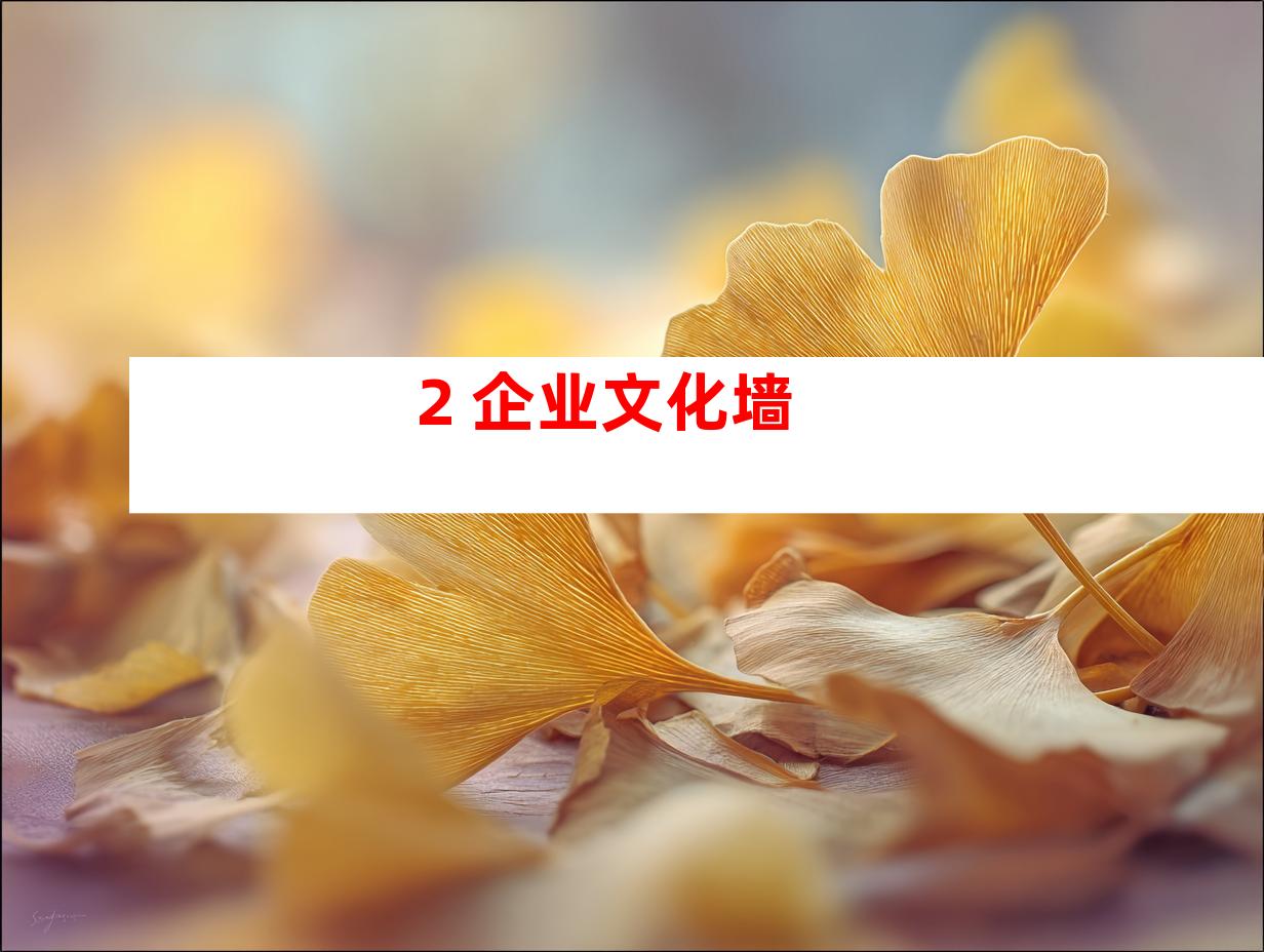 2. 企业文化墙