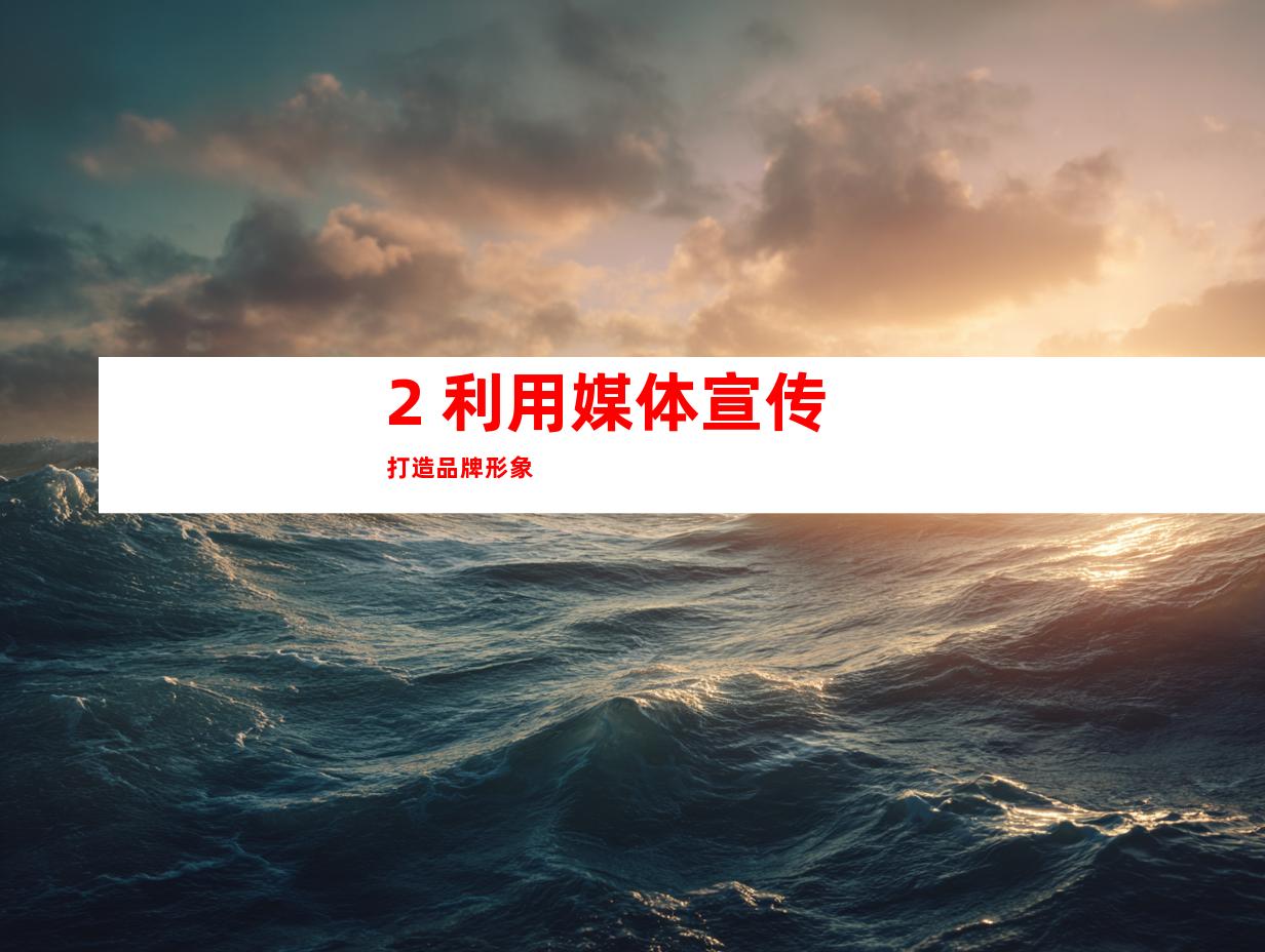 2. 利用媒体宣传打造品牌形象