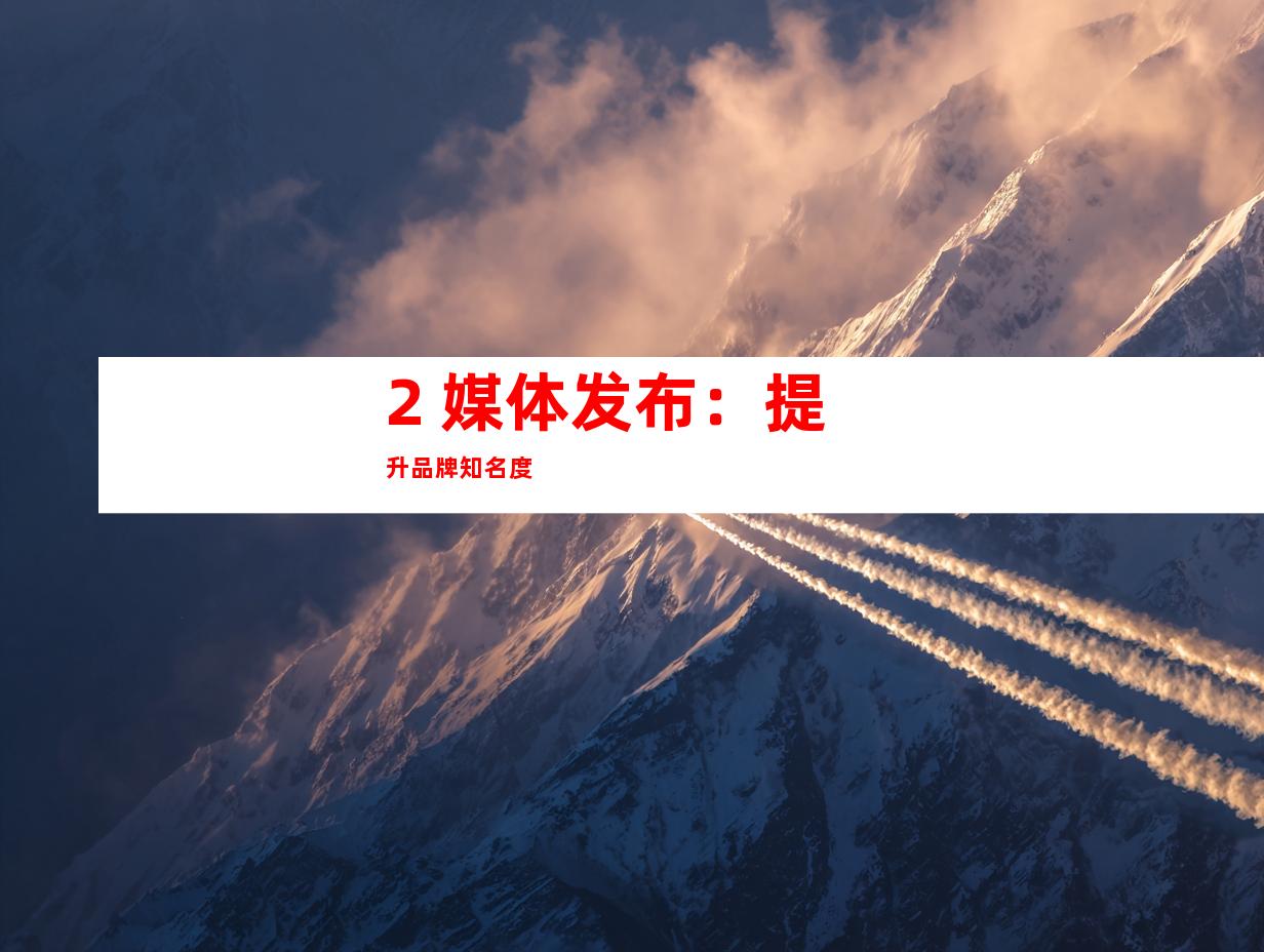 2. 媒体发布：提升品牌知名度