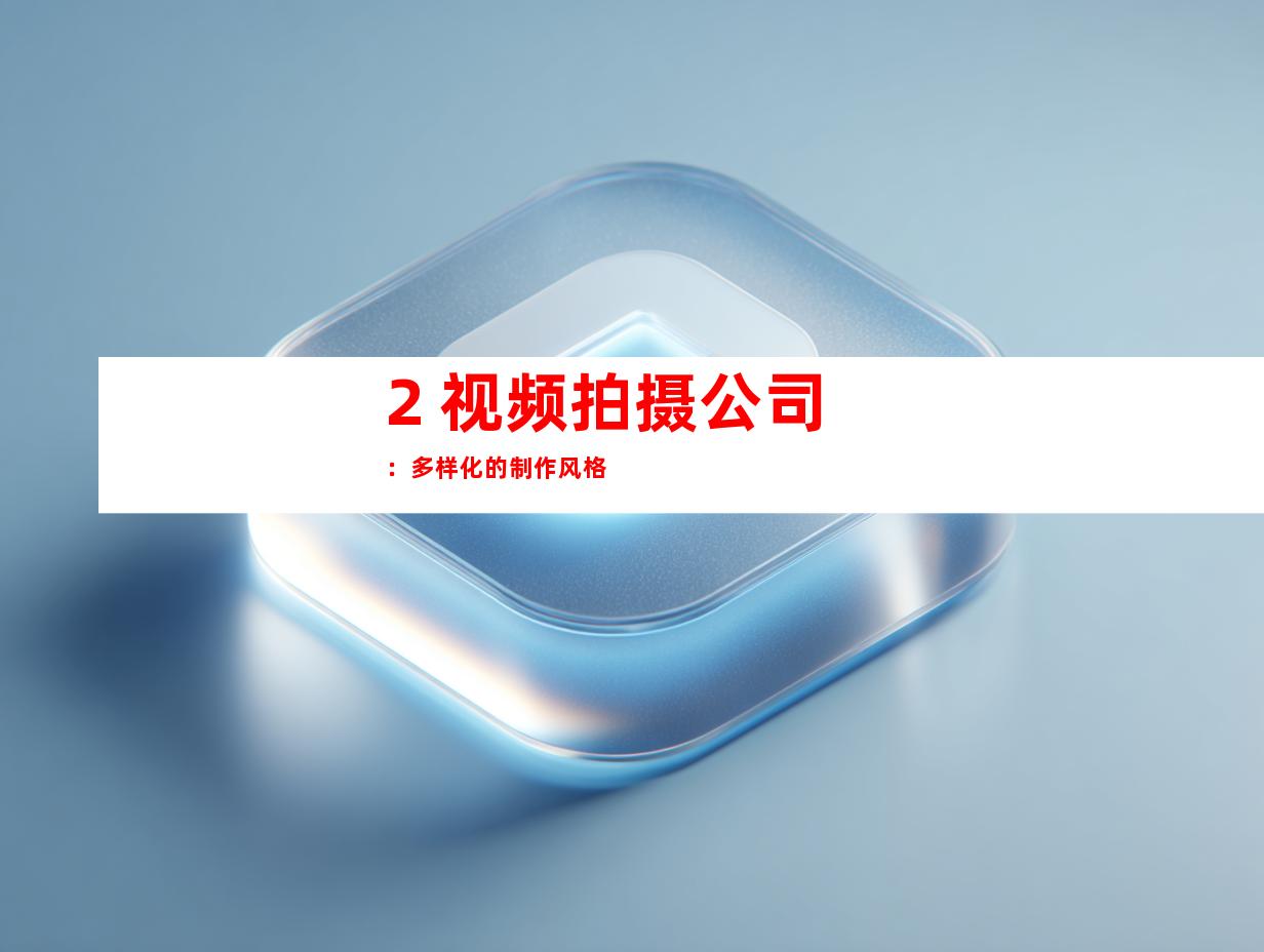 2. 视频拍摄公司：多样化的制作风格