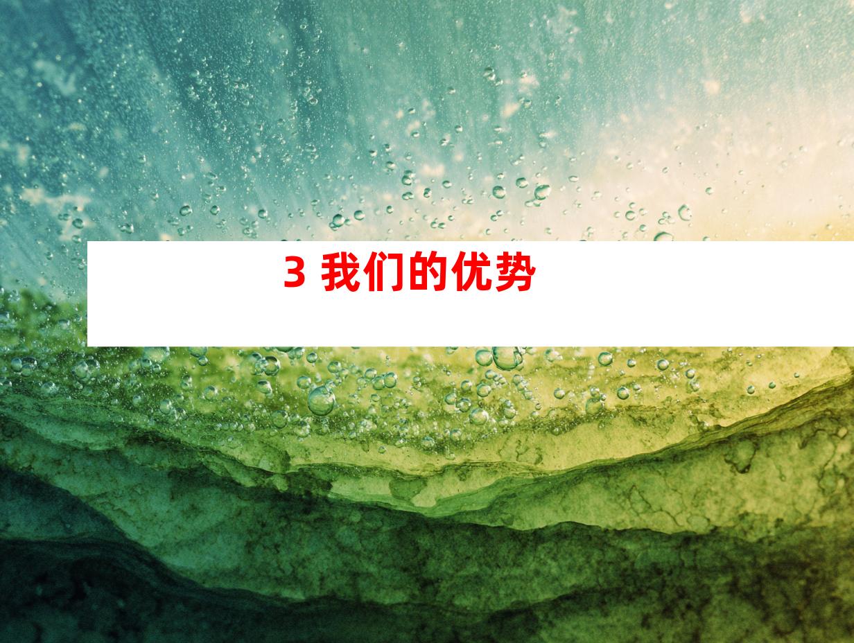 3. 我们的优势