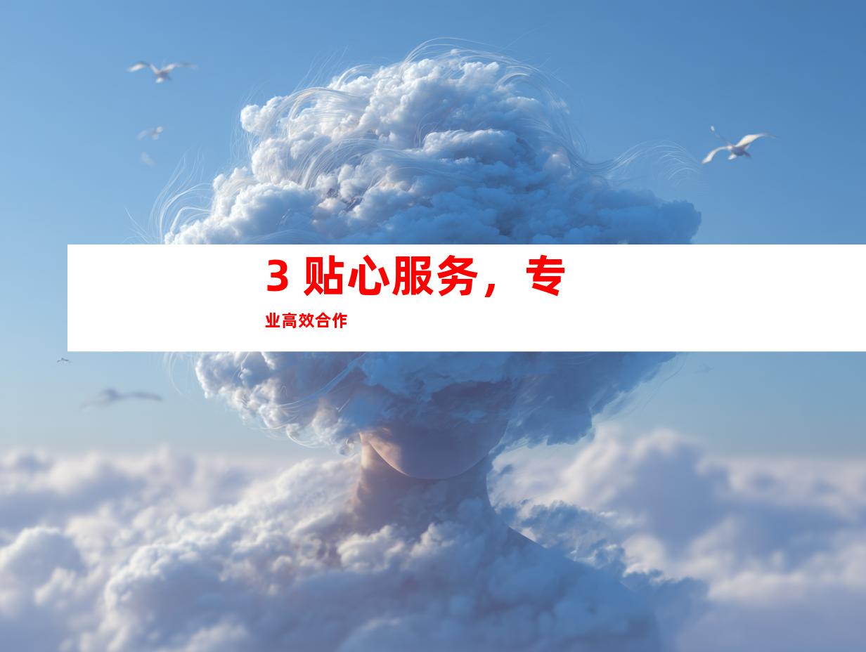 3. 贴心服务，专业高效合作