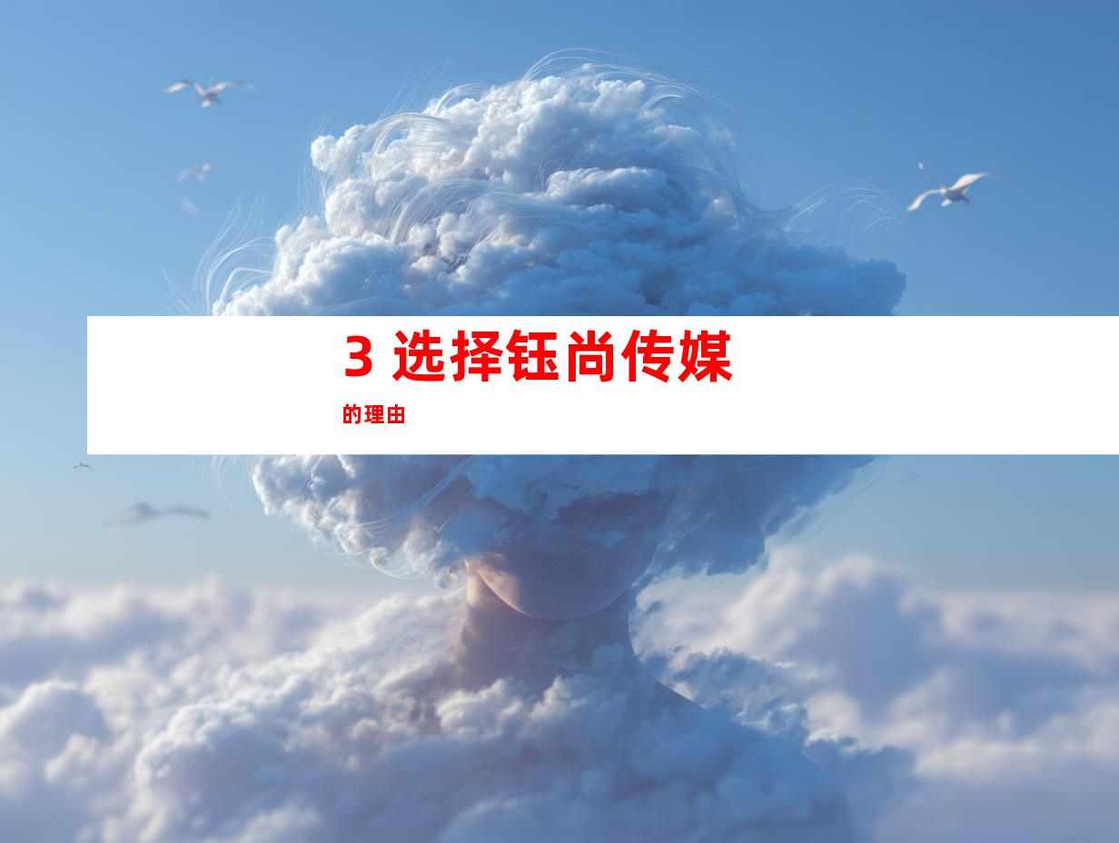 3. 选择钰尚传媒的理由
