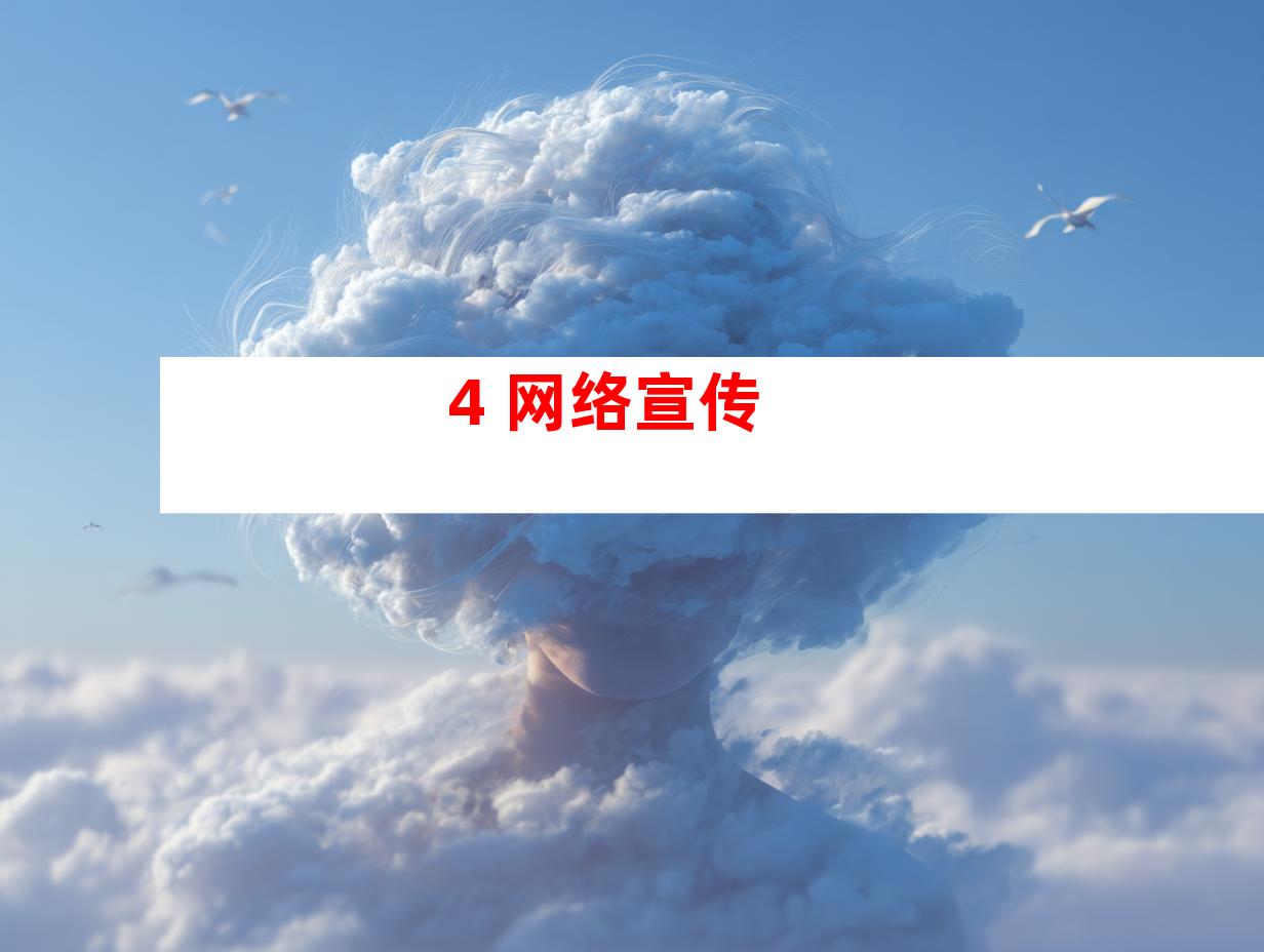 4. 网络宣传